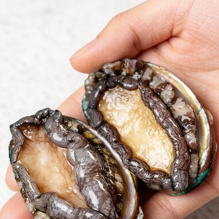 Premium Jumbo Whole Abalone
