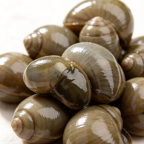 Ningbo Wine-Pickled Mud Snails