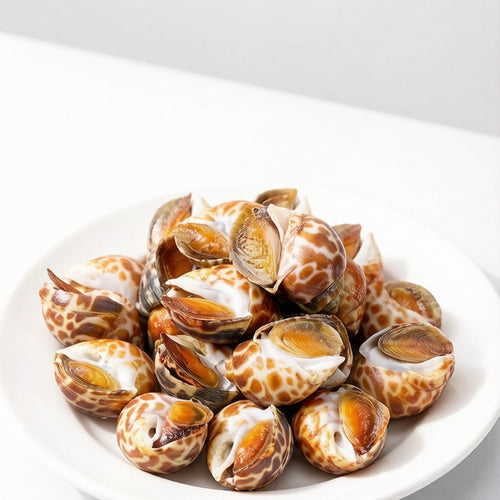 Jumbo Spotted Babylon Snails